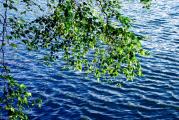 Живая вода Изумрудного озера