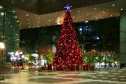 Рождественская елка в Риверсайде. Из серии "Ночной Сингапур"