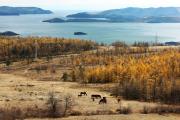 Осень, кони, Байкал...