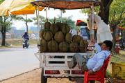 Продавец дуриана (Из серии "Камбоджа в лицах")